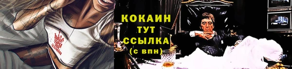 твердый Дмитриев