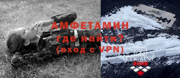 СК Дмитровск