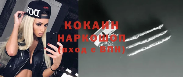 твердый Дмитриев