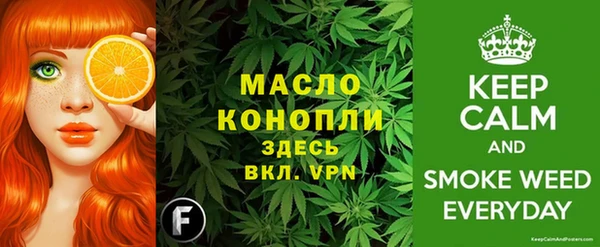 СК Дмитровск