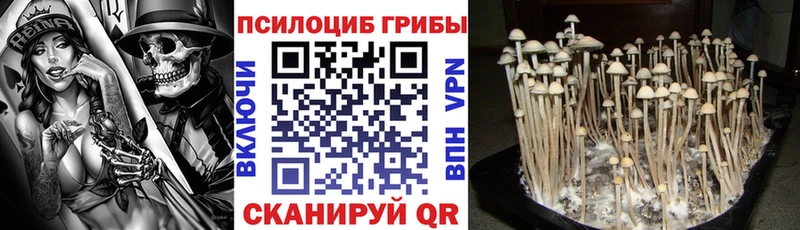 Псилоцибиновые грибы GOLDEN TEACHER  Купить  Новосибирск 